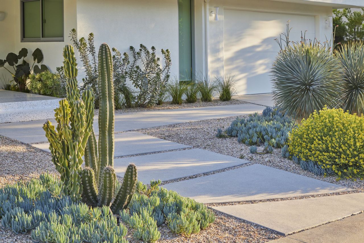 Close-up of paving amongst loose gravel and cacti planting