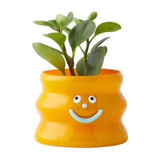 Smiley face planter in orange