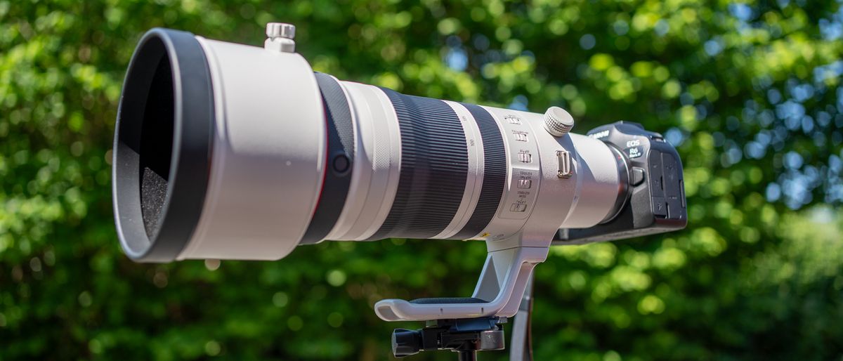 We tested Canon’s $10,000 wildlife zoom — can it replace a prime lens?