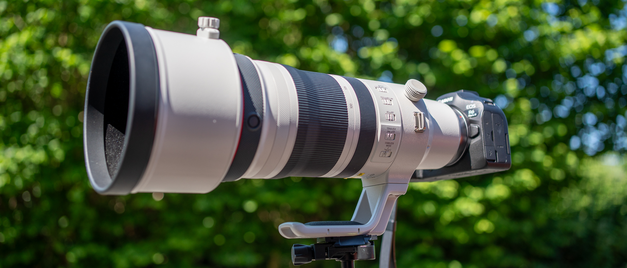 Canon RF 100-300mm f/2.8L IS USM lens against green foliage