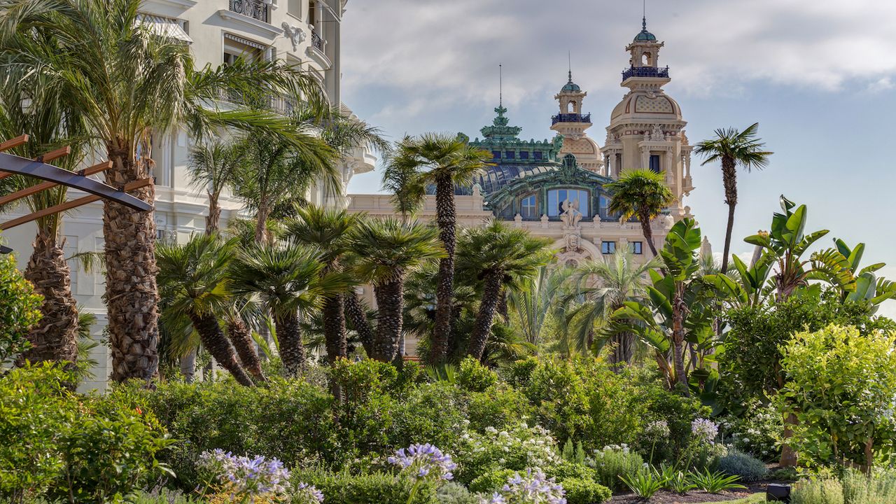 the_week_portfolio_hotels_monte_carlo_.jpg