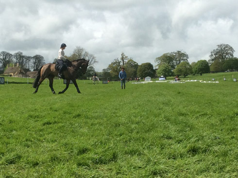 Sophie Jenman schooling Geronimo at Badminton 2014