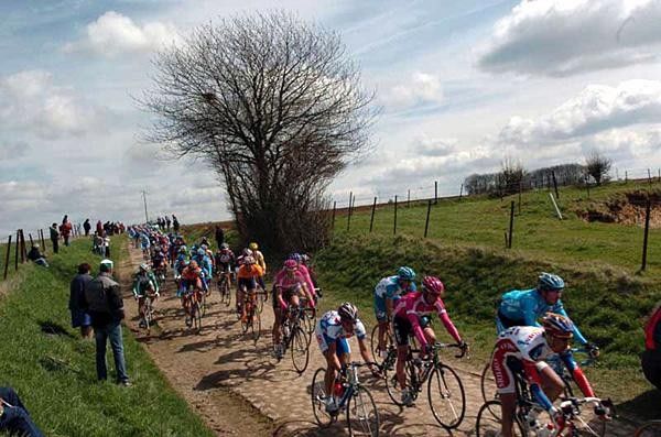 A very scenic view of the bunch