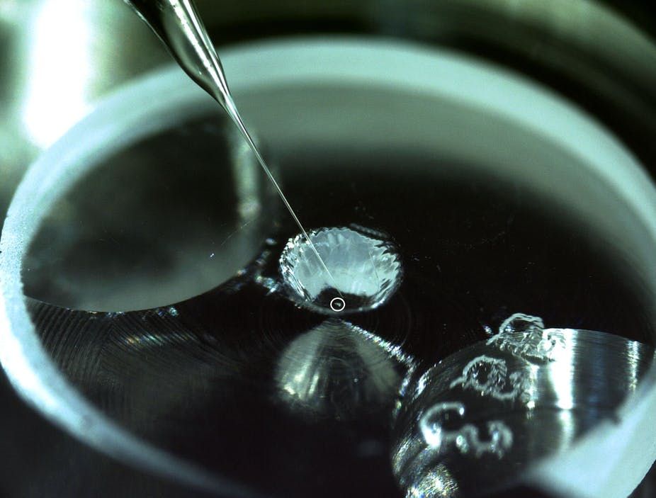 A tiny speck of asteroid dust, circled, can only be manipulated by a glass needle.