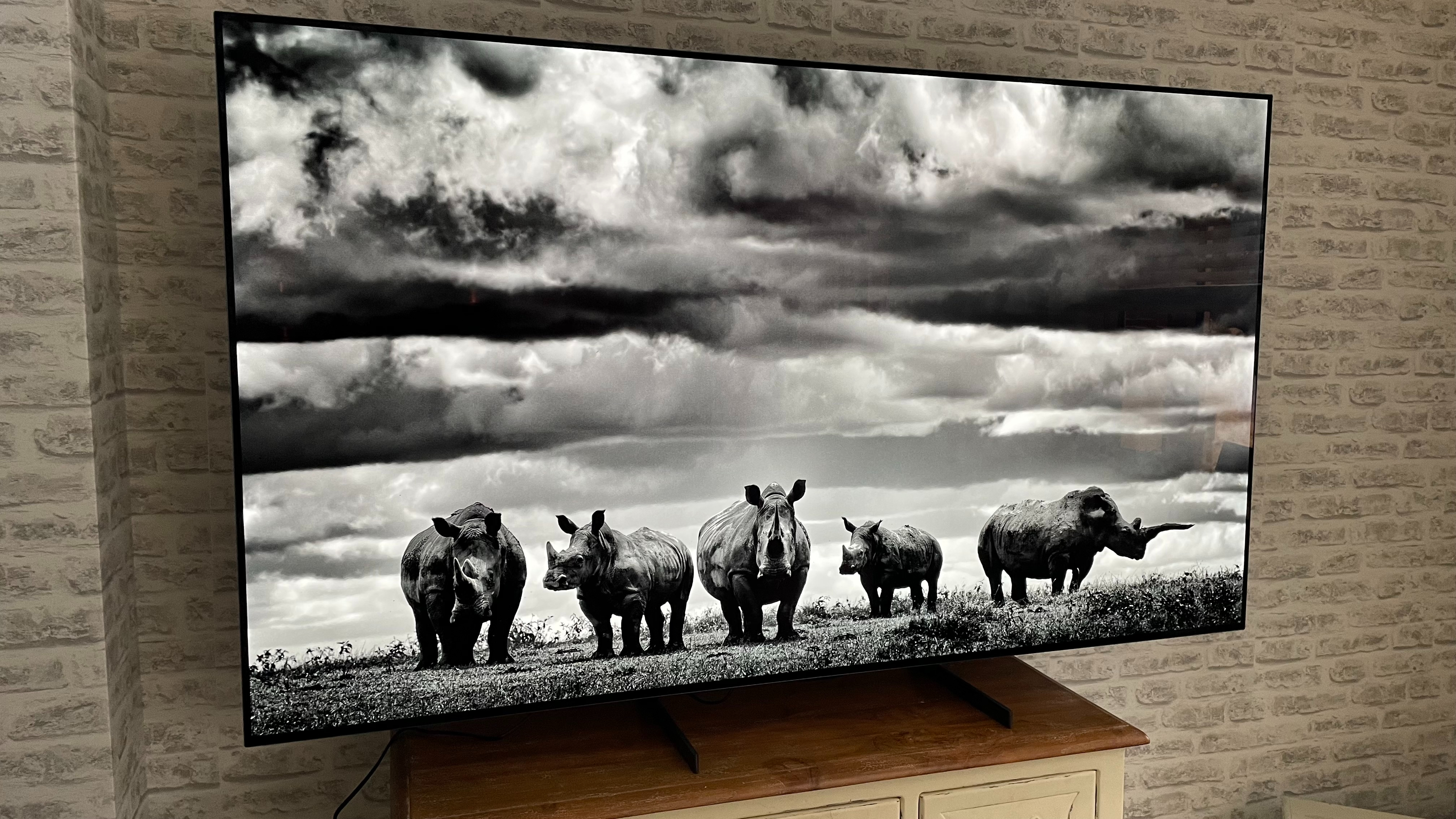 LG Z3 OLED TV showing black and white image