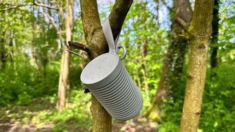 Beosound Explore Bluetooth speaker on branch in a forest