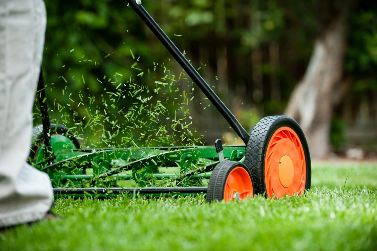 Person Mowing Lawn