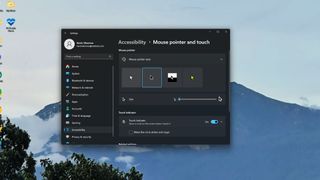 Windows 11's new accessibility feature