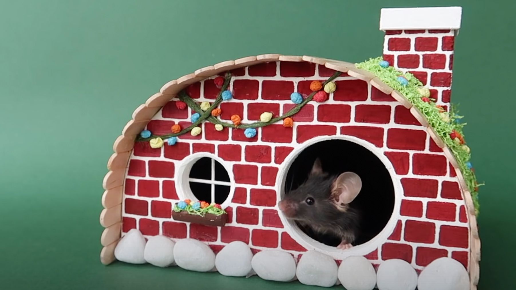 5 cool DIY hamster habitats your little pocket pet will love | PetsRadar - Best Hamster Habitat Kits