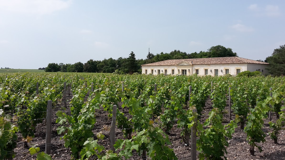 Chateau Montrose, Bordeaux