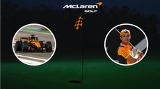 A McLaren flag with a picture of their car and Lando Norris