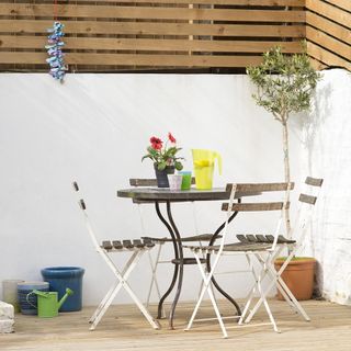 white wall with plant on pot and table with chairs