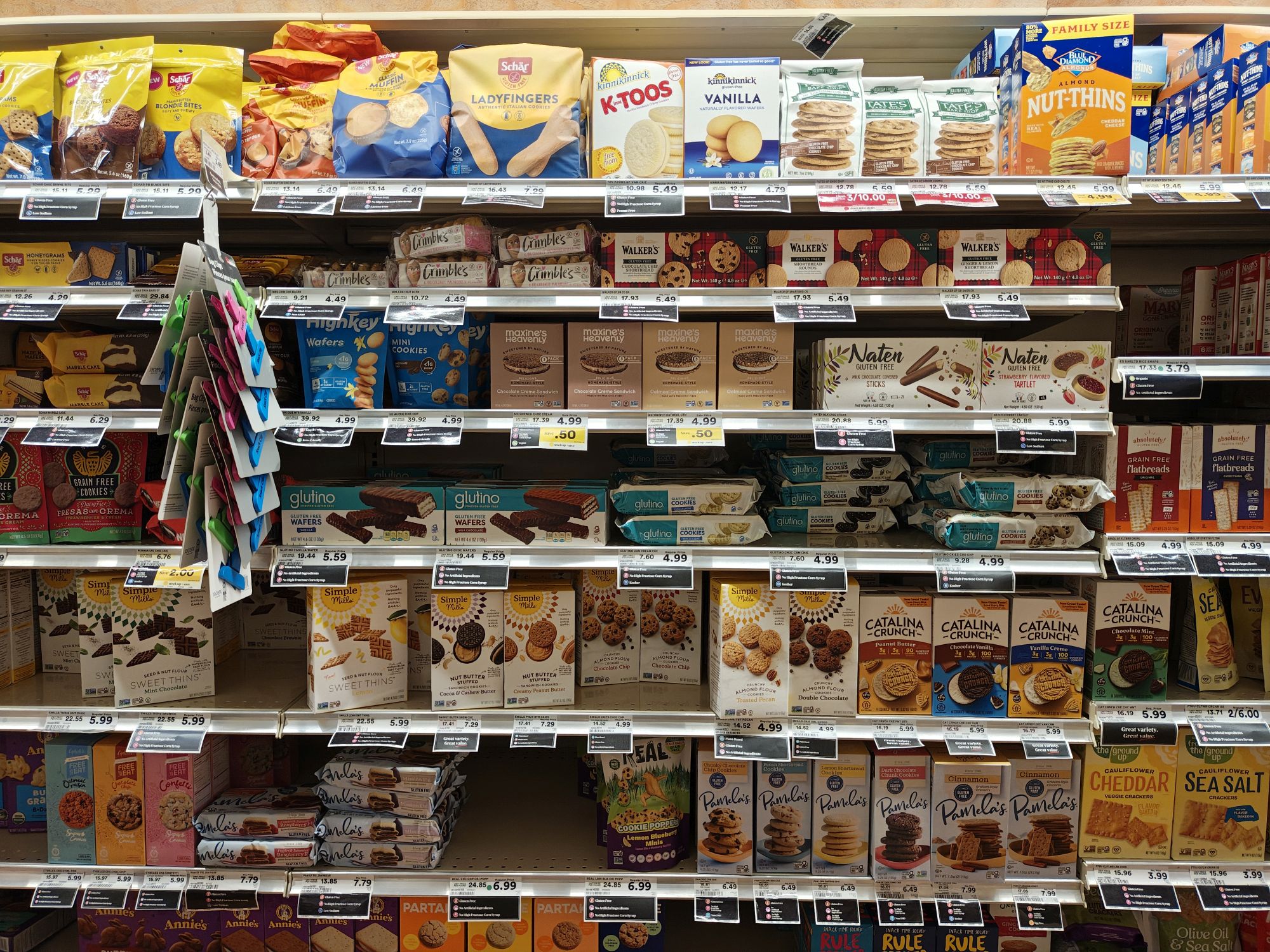 Motorola Razr Plus (2025) camera sample.