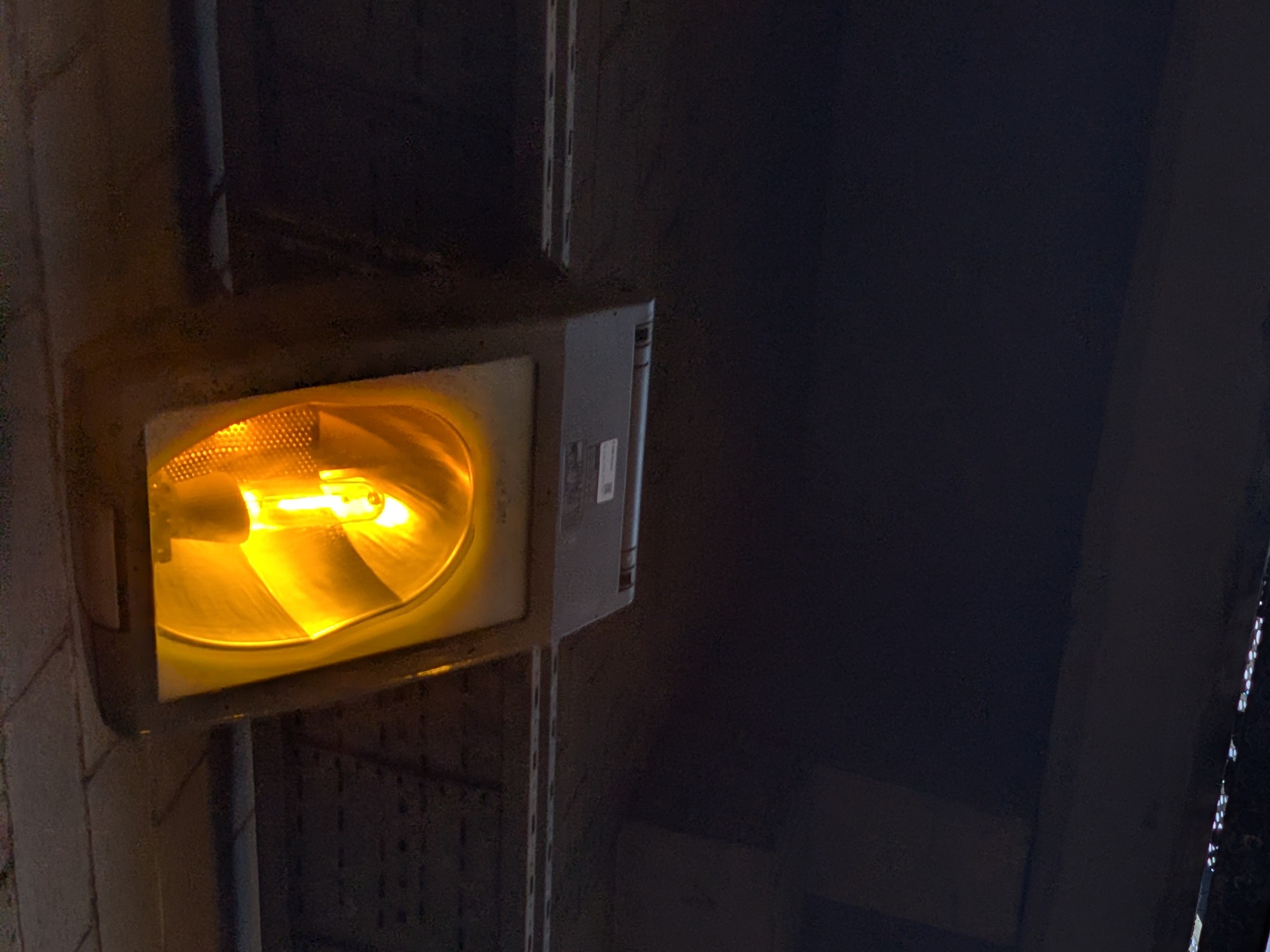 Google Pixel 10 Pro XL