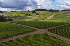 Willamette Valley 2023