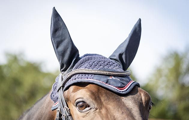 Premier Equine Fly Veil review