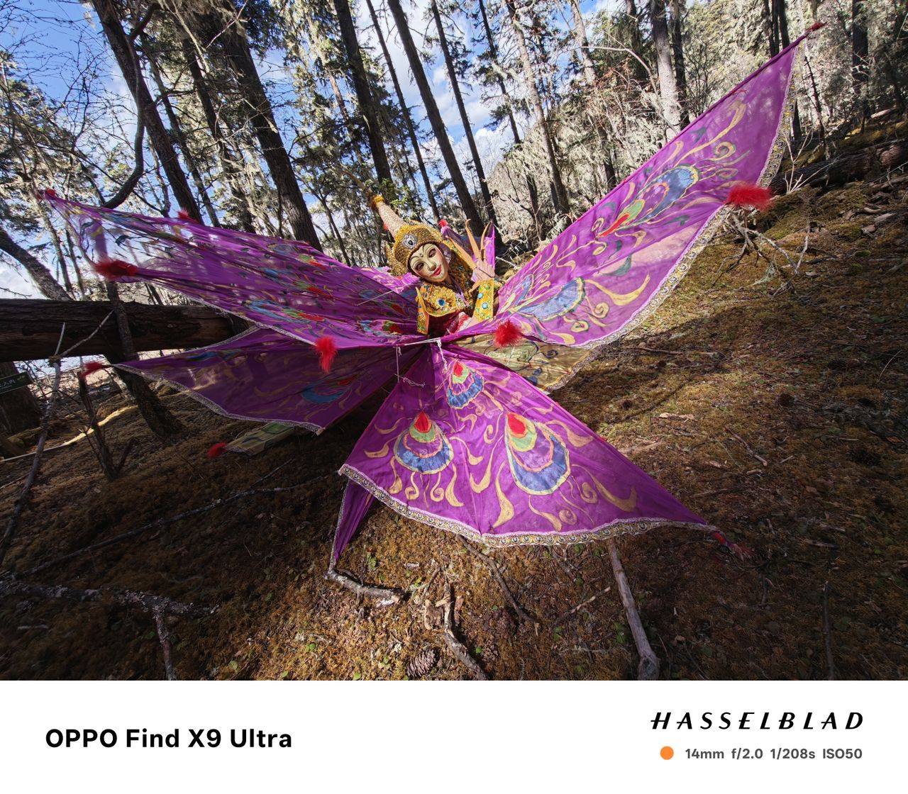 Person in traditional Kinnara clothing, from the Yunnan region of China, in a woodland