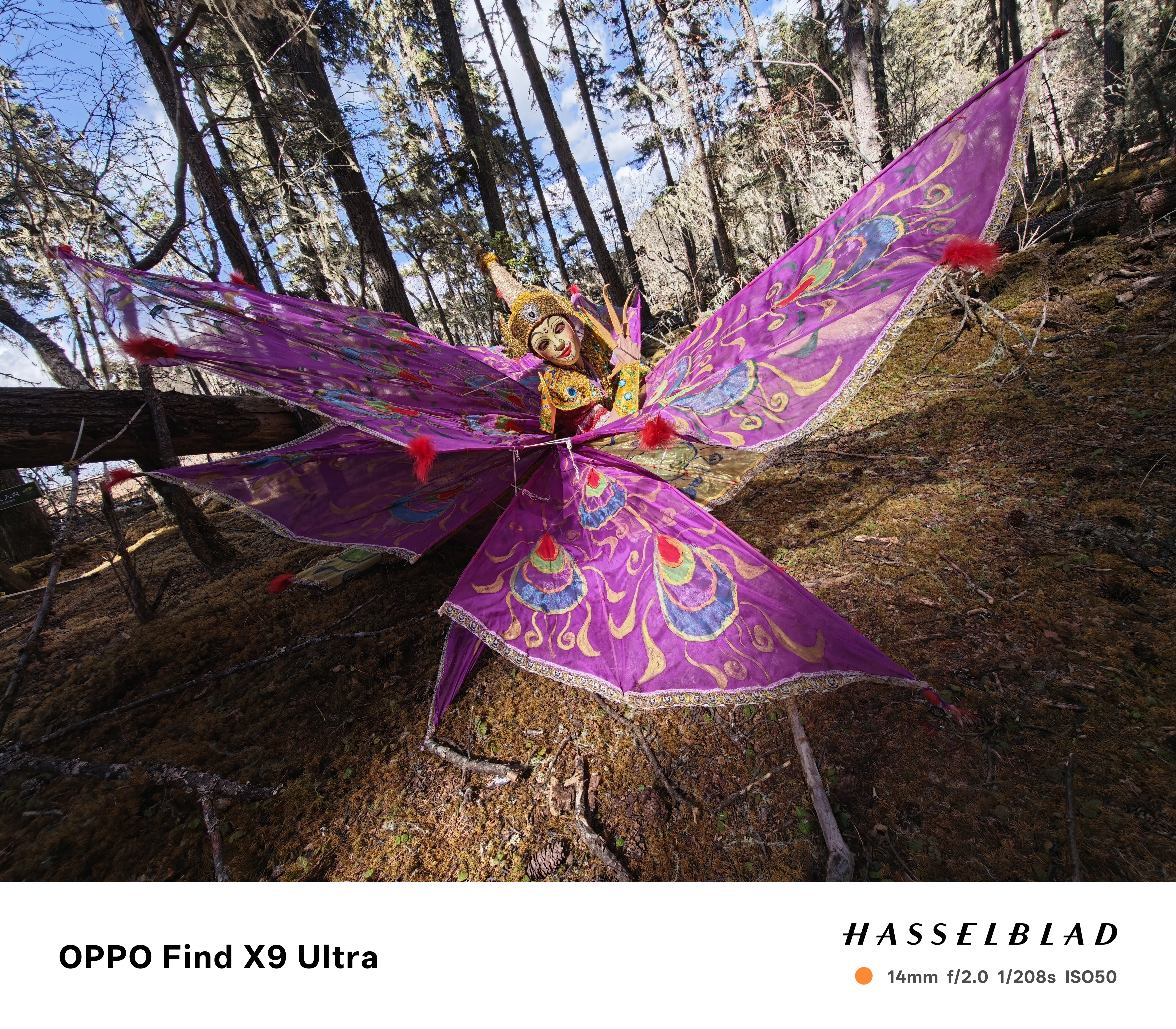Person in traditional Kinnara clothing, from the Yunnan region of China, in a woodland