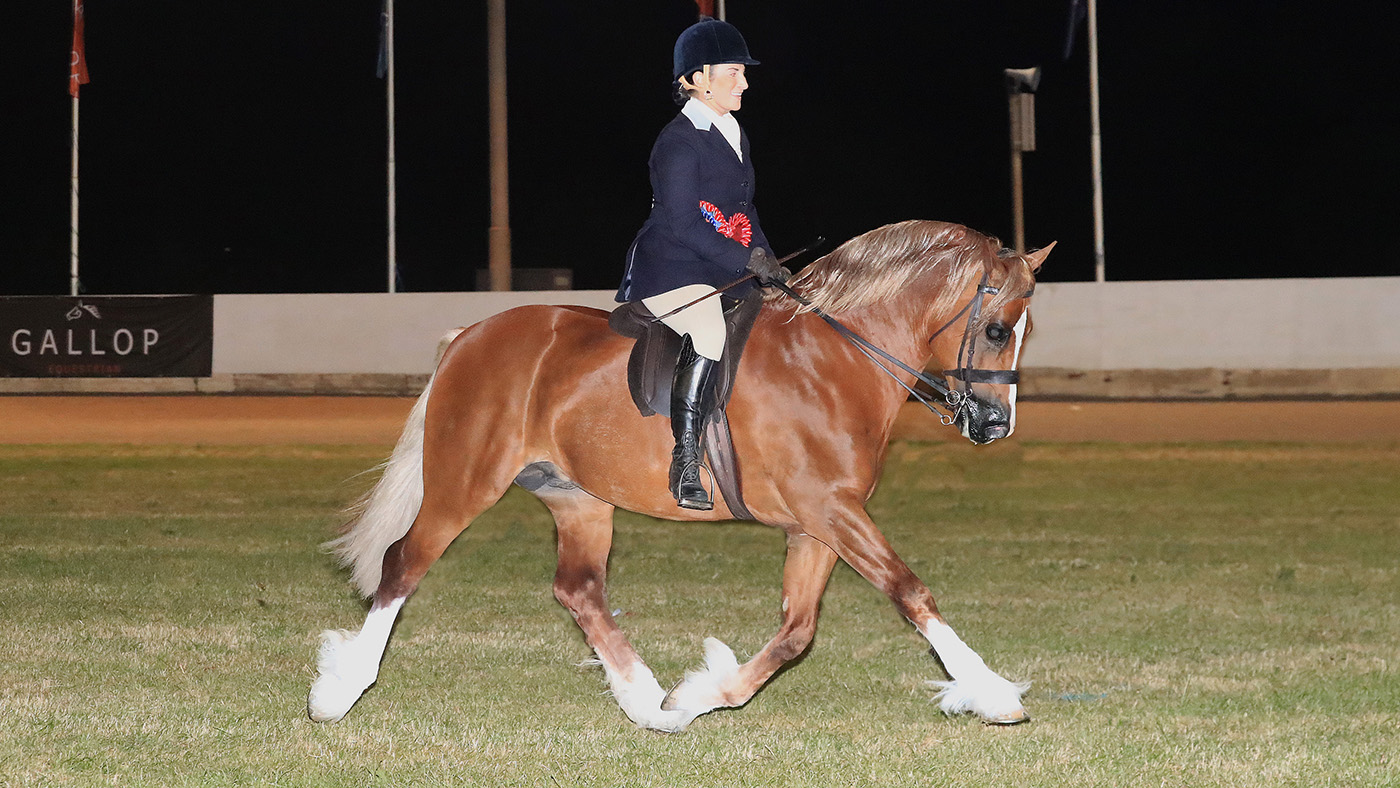 Thorneyside The Guardsman at Equifest