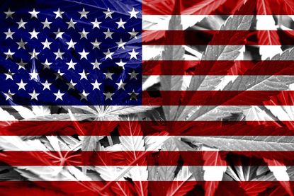 Pot legalization in D.C. could pose a challenge to international anti-drug treaties