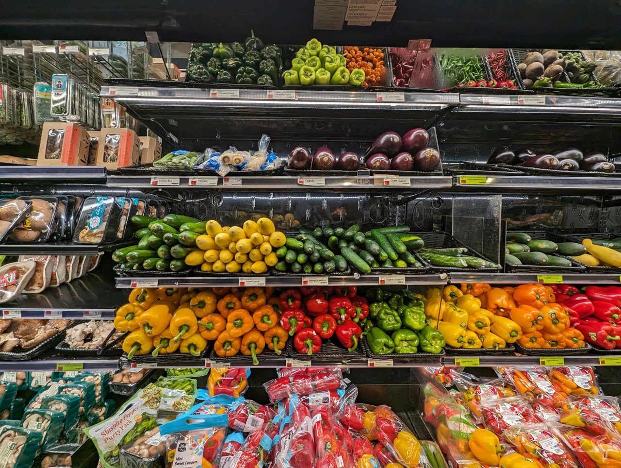 Google Pixel 8 color reproduction sample.