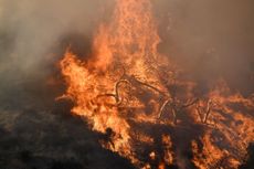 Flames from a wildfire in Los Angeles, California.