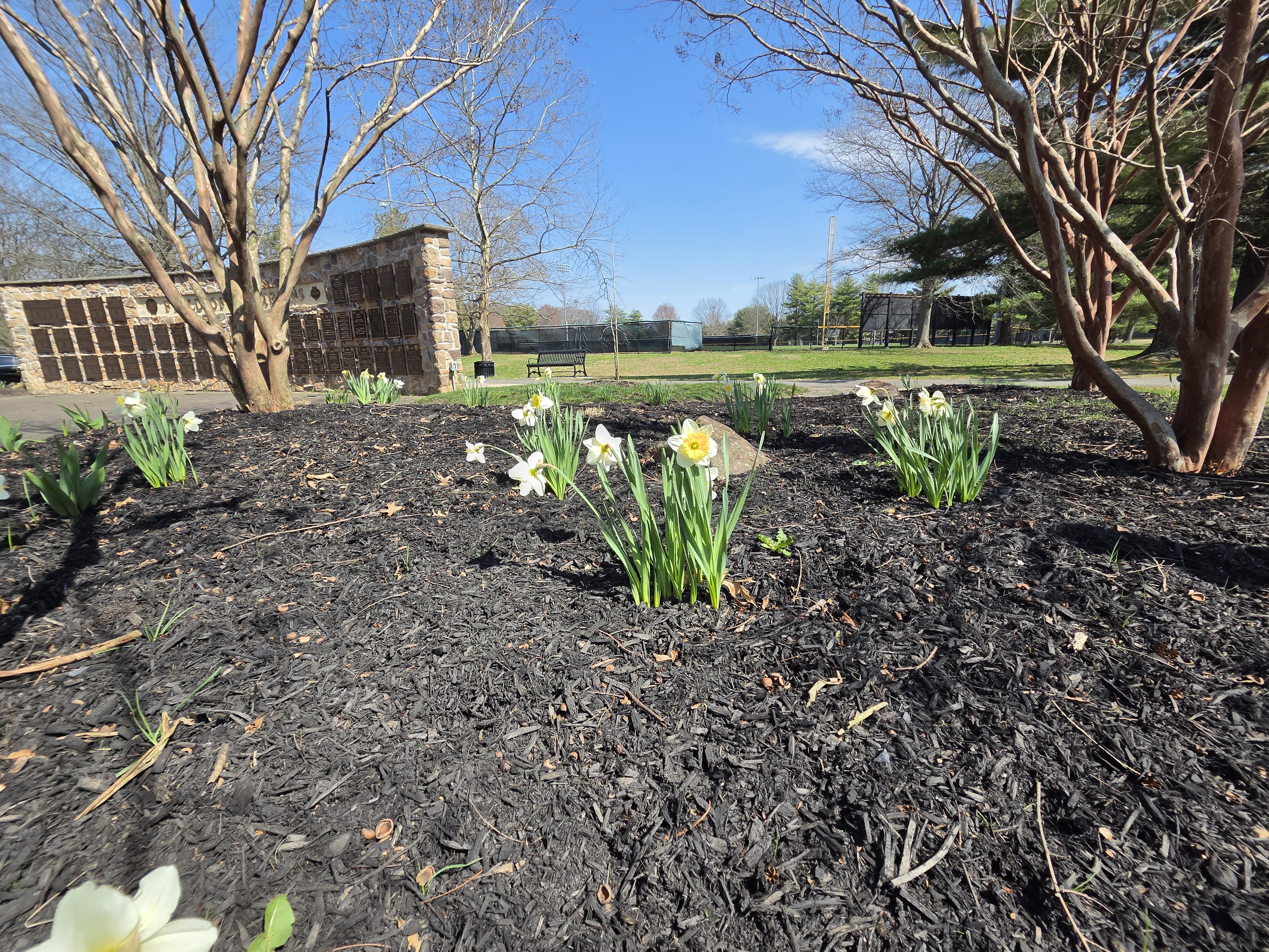 Samsung Galaxy S26 Plus camera samples