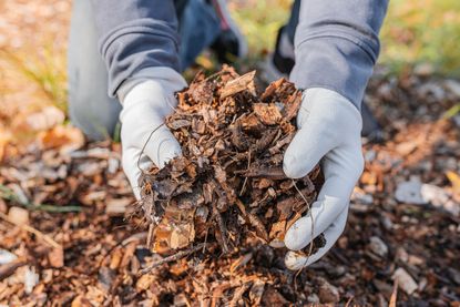 10. Mulch leaves when you mow
