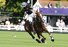 enigmapolo.jpg