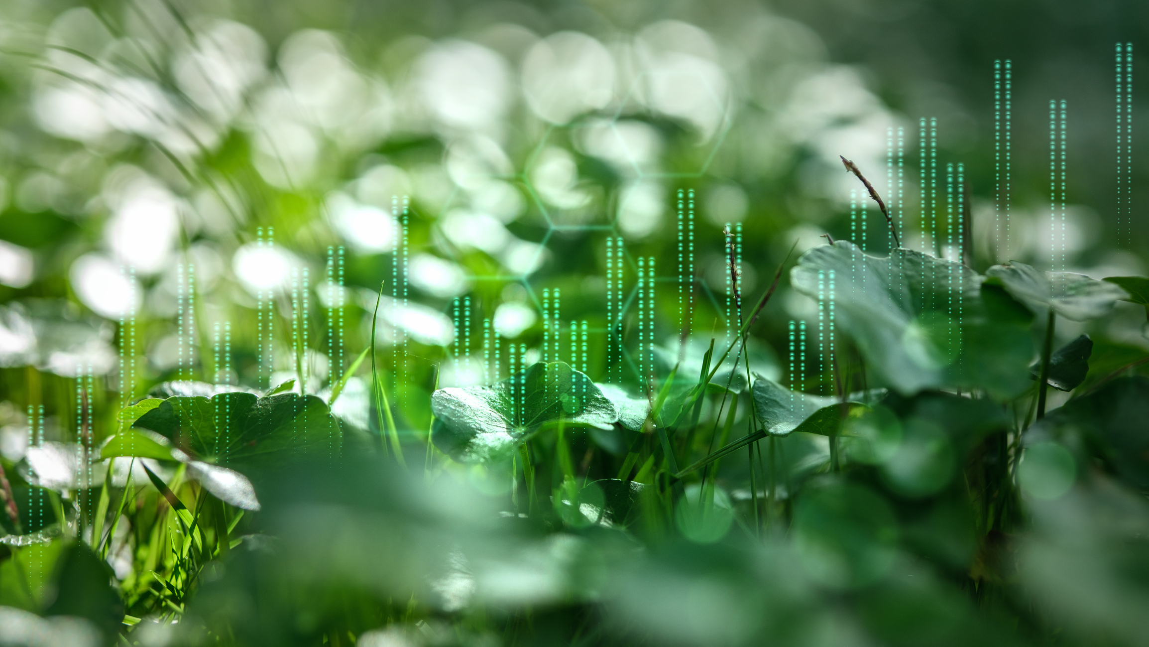 PIMCO Dynamic Income Fund