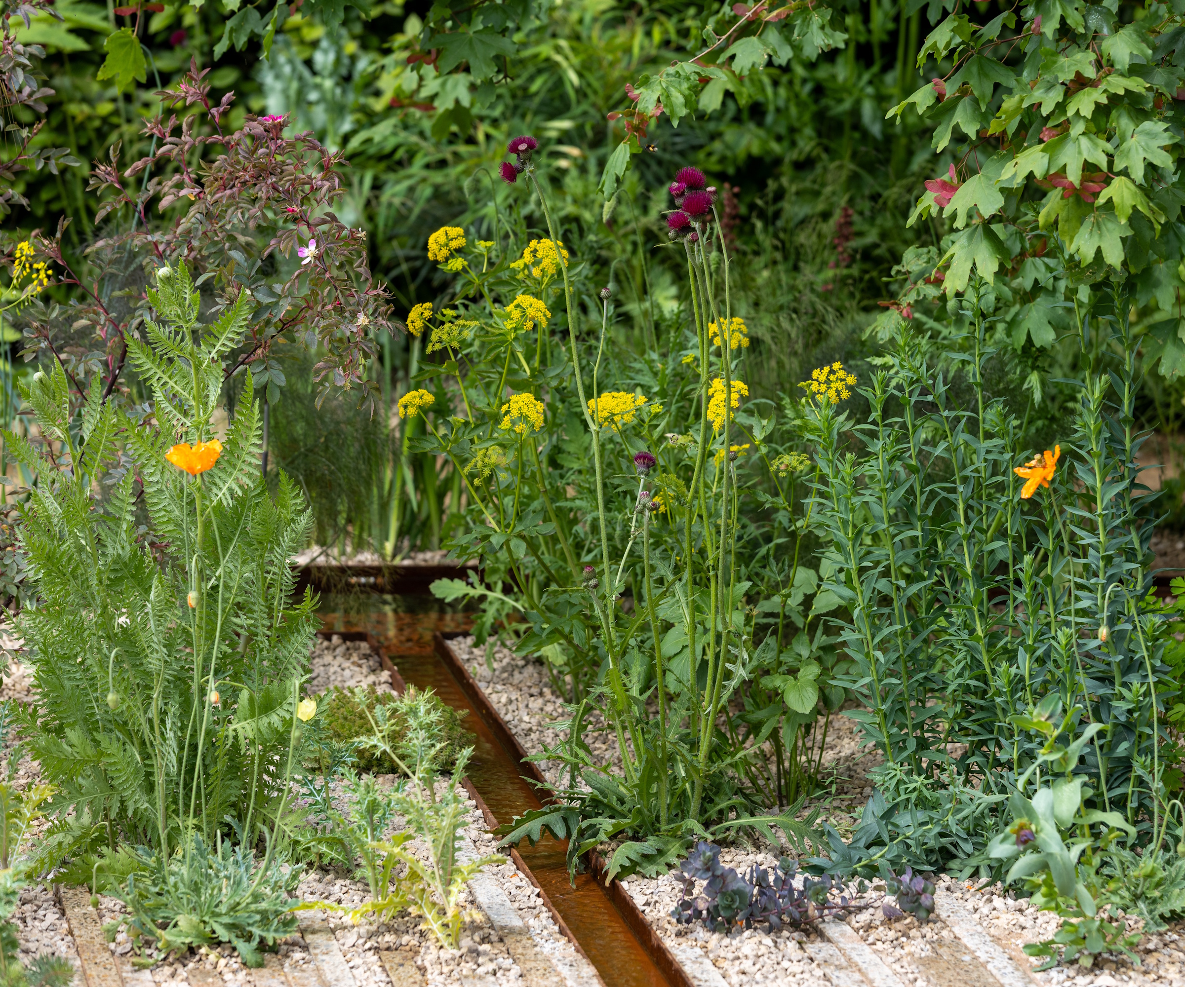 RHS Chelsea 2026 The Children's Society Garden