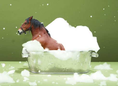 bubblebath.jpg