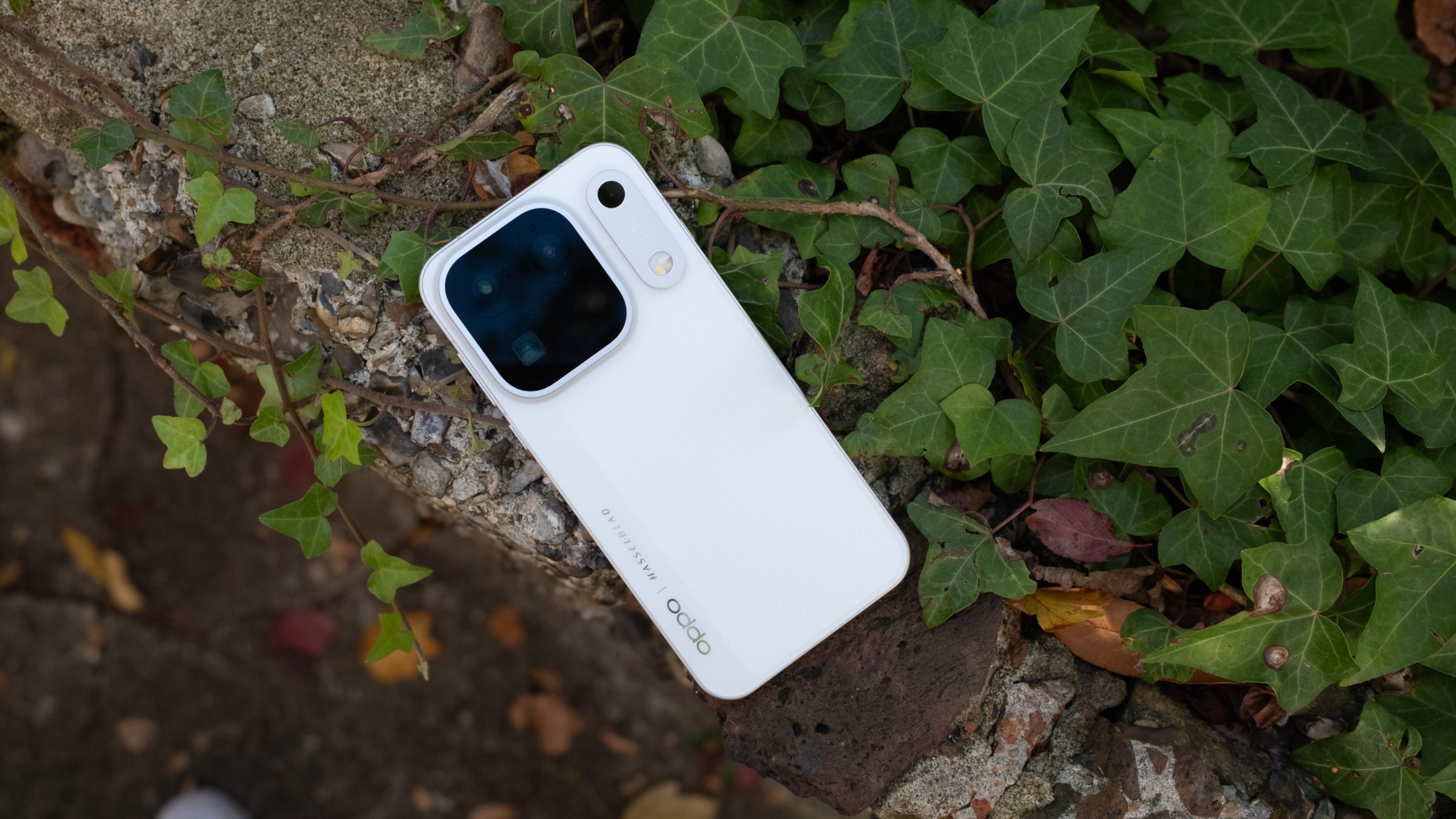 White Oppo Find X10 Pro Max resting among green ivy leaves on a stone wall, viewed from above.
