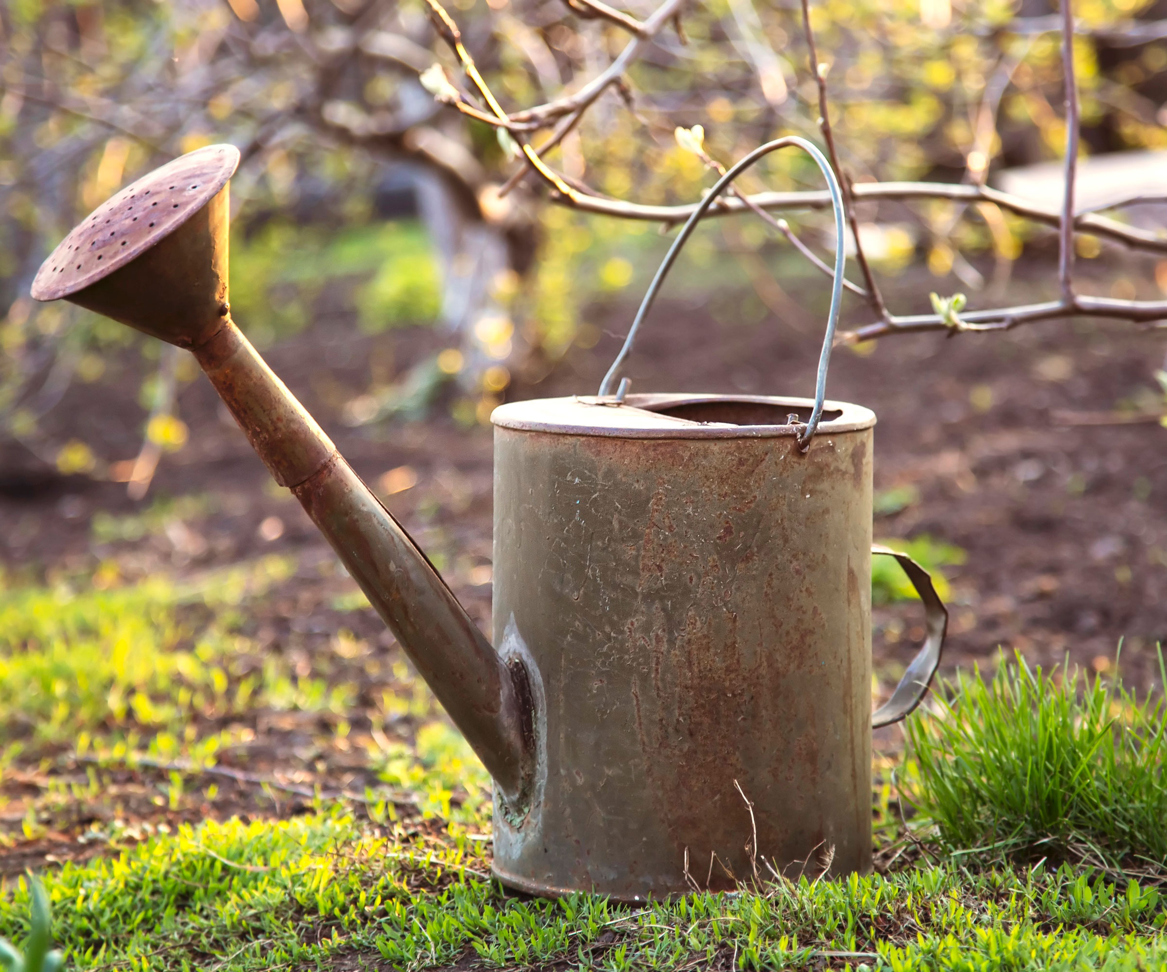 metal watering can on grass in garden