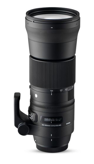 Sigma 150-600mm f/5-6.3 DG OS HSM