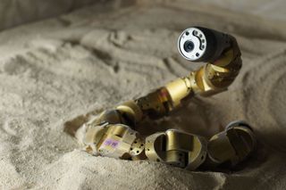 The Carnegie Mellon snake robot.
