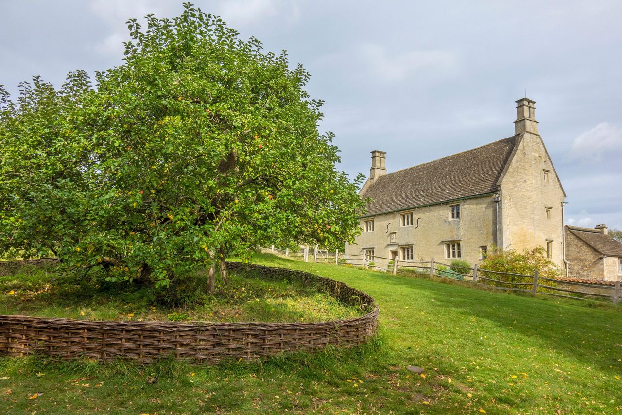 The apple tree at Woolsthorpe Manor, once the home of Isaac Newton.