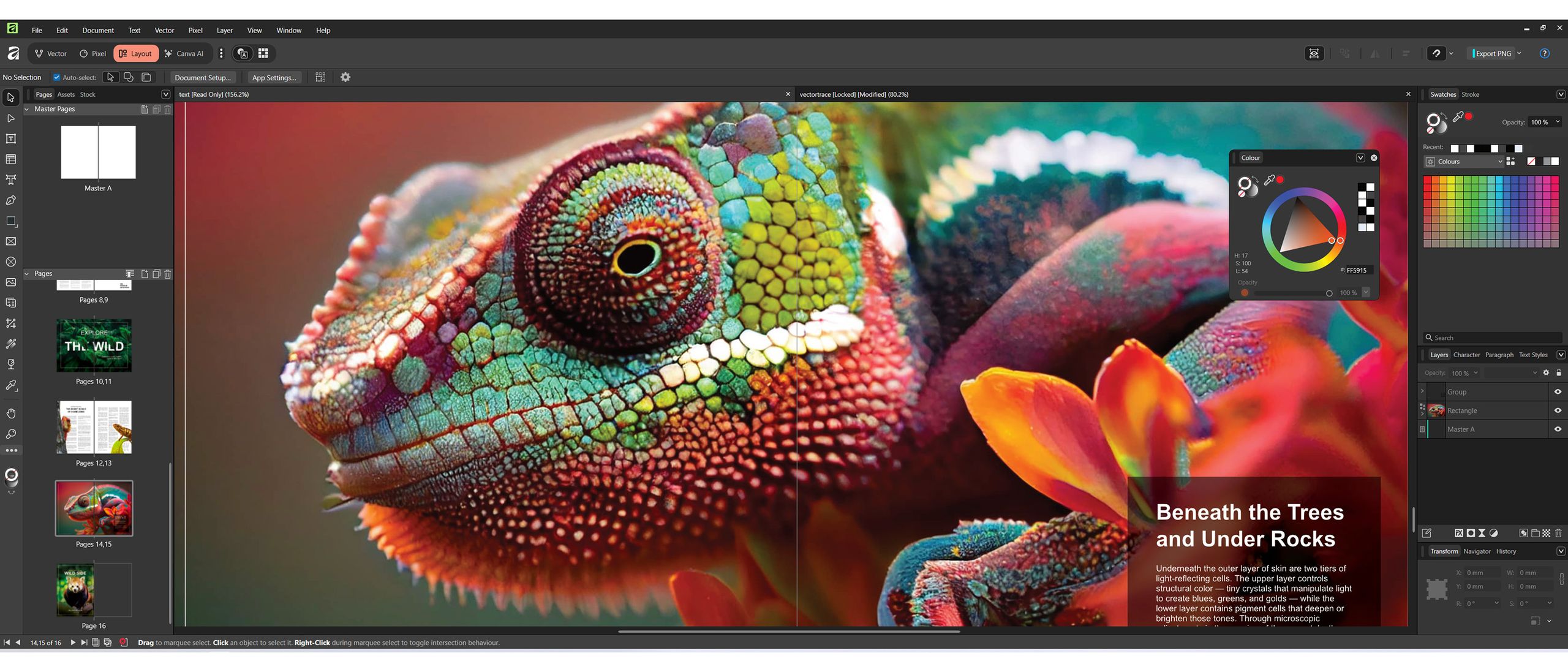 Recenze Affinity by Canva: zdarma je kouzelné číslo