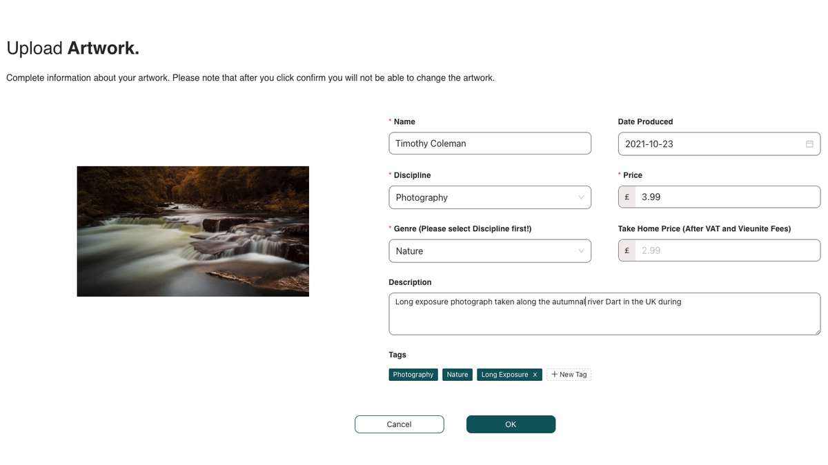 Screenshot of the Vieunite artist's upload page
