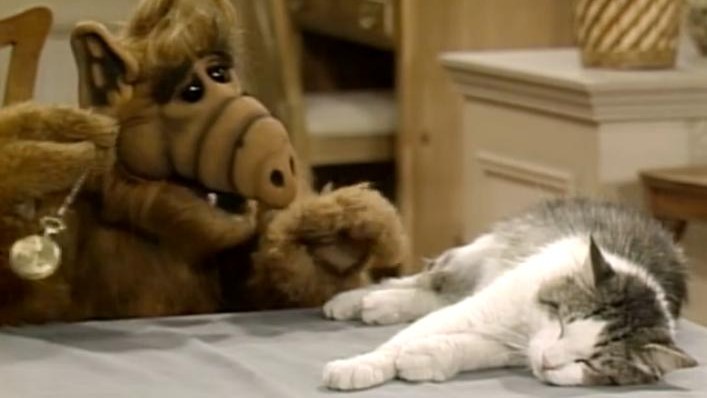 ALF the furry, croissant-nosed alien is a swinging a golden pocket watch in an attempt to hypnotise the cat lying on the sofa.