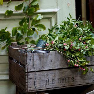 wooden box with plants