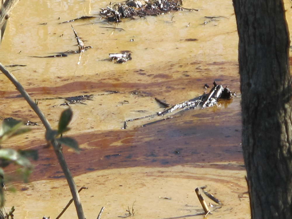Oil flowing through a creek near a shopping center in the center of town in Mayflower, Ark.