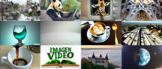 Imagen Video homepage showing AI video examples