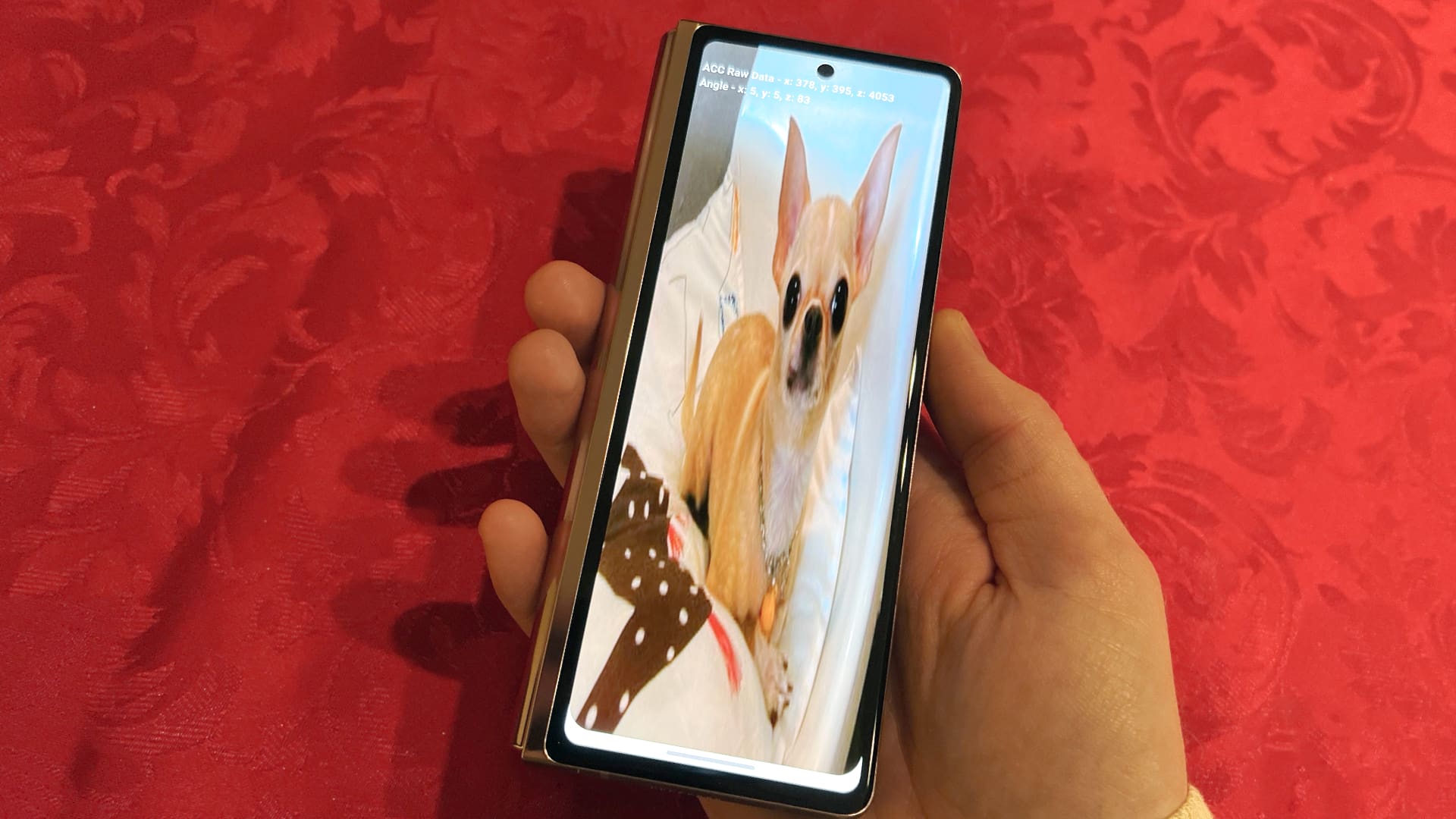 En gömd Chihuahua i Samsungs telefoner