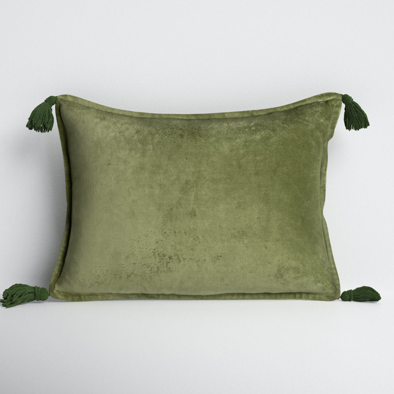 Birch Lane&amp;trade; Norwin Rectangular 100% Cotton Pillow Cover &amp;amp; Insert &amp;amp; Reviews | Wayfair