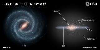 A diagram of the Milky Way head-on on the left, with an edge-on view on the right. The left looks like a spiral and the right looks like a disk with a bulging central blob.