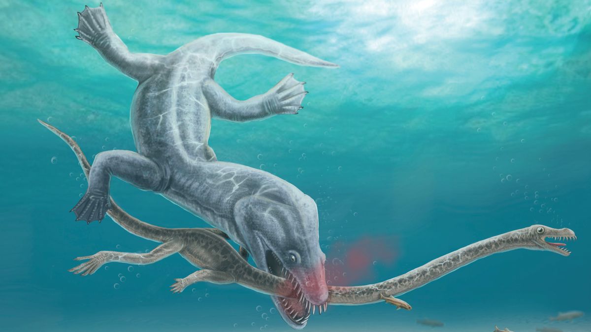 Kepala monster laut besar berusia 240 juta tahun itu robek dalam satu gigitan bersih