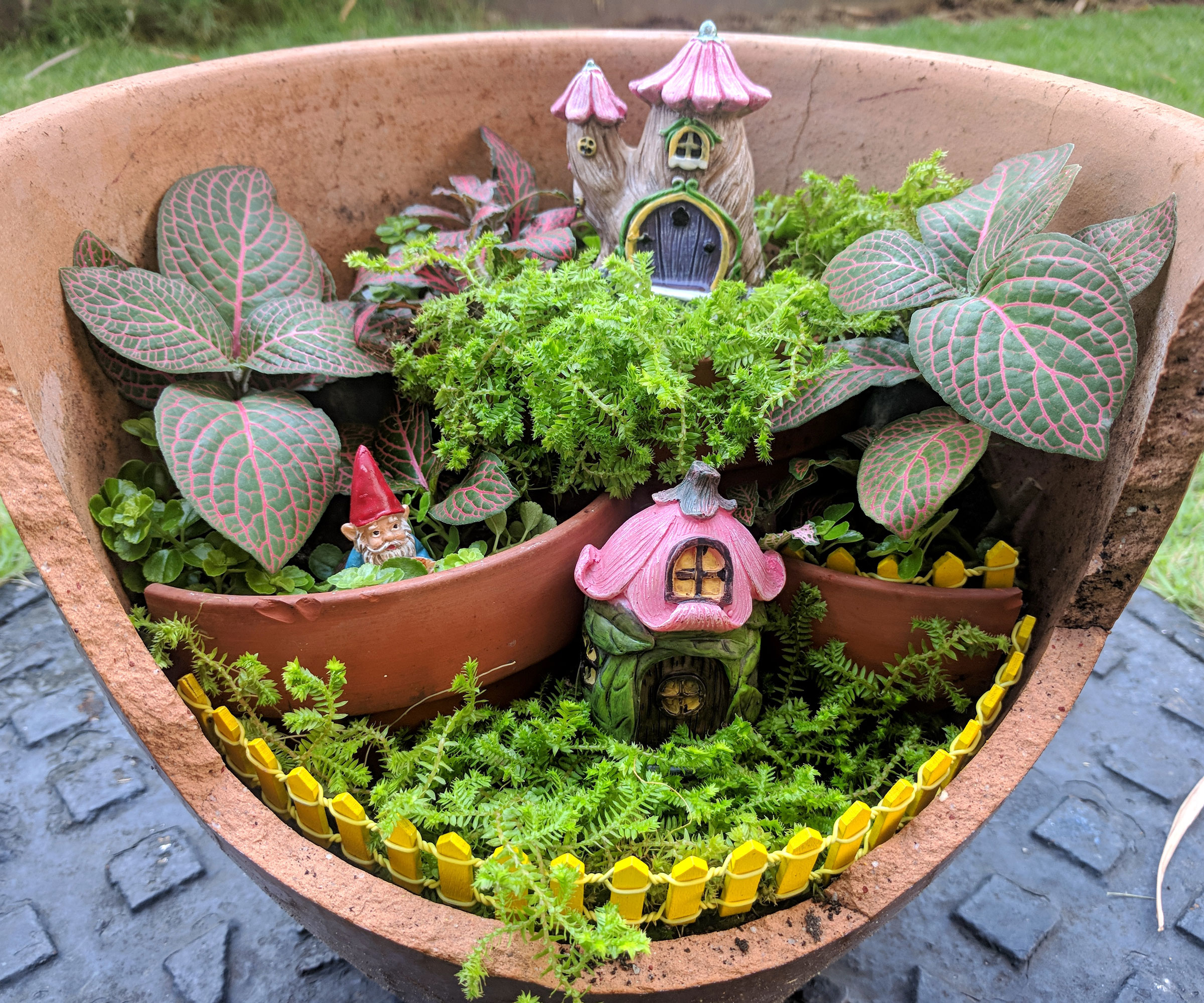 fairy garden container with split level planting and accessories