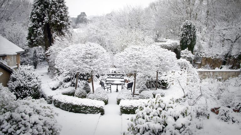 how to protect plants from winter: snowy garden