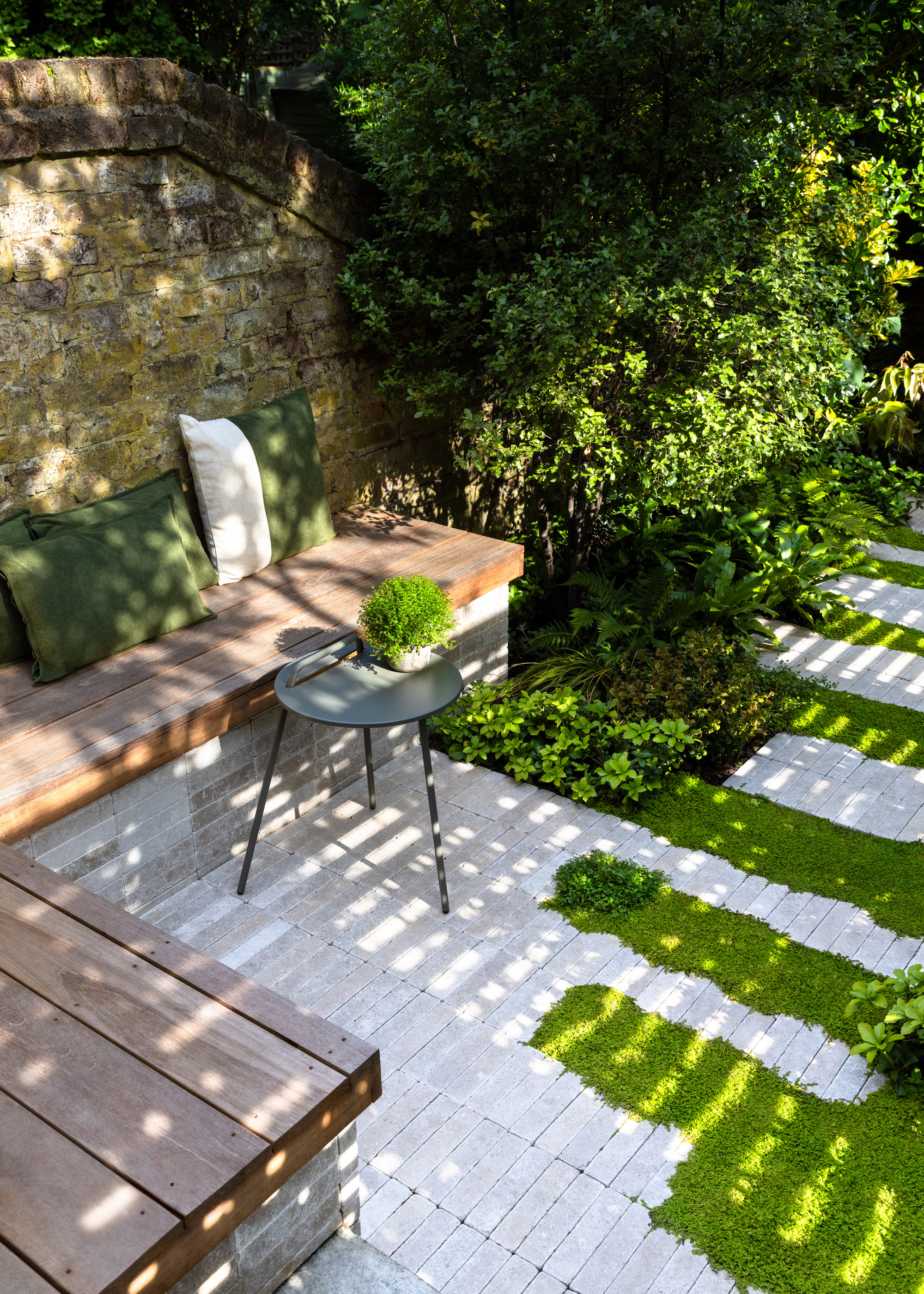 white patio and wooden bench area with ground cover plants between paving
